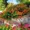 12 Bundles UV-Resistant Artificial Outdoor Flowers – Faux Silk & Plastic Plants for Window Box, Front Porch, Hanging Planters & Garden Decor (Orange Red)
